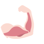 腕