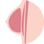 乳房