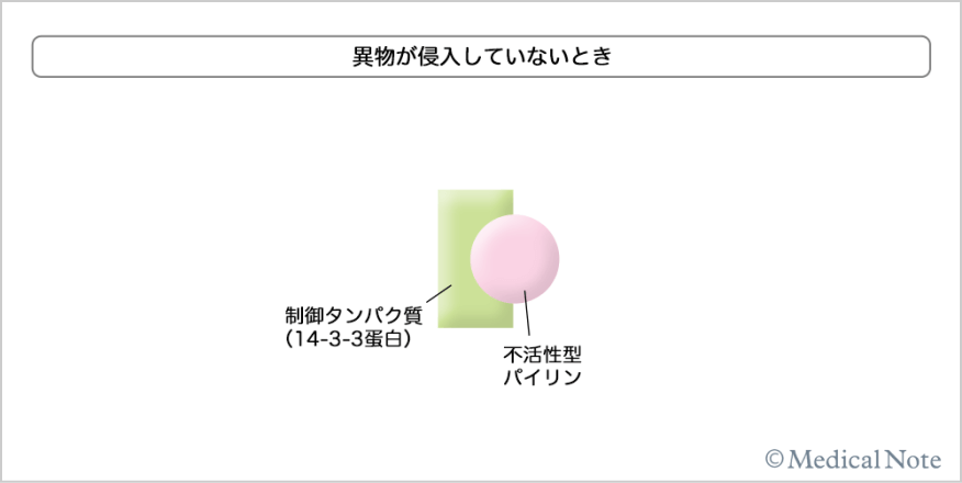 異物が混入していないとき