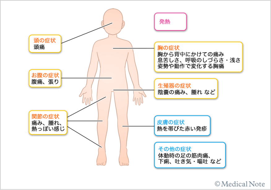 FMFの症例