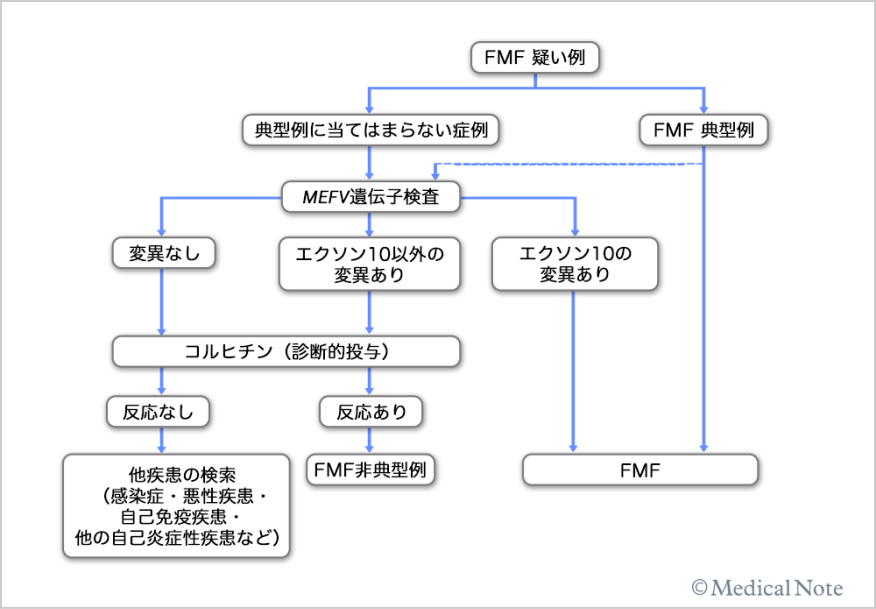 Fig about04 2